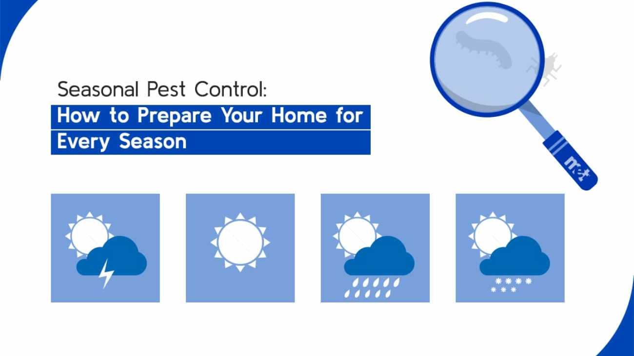 Seasonal pest control (1)