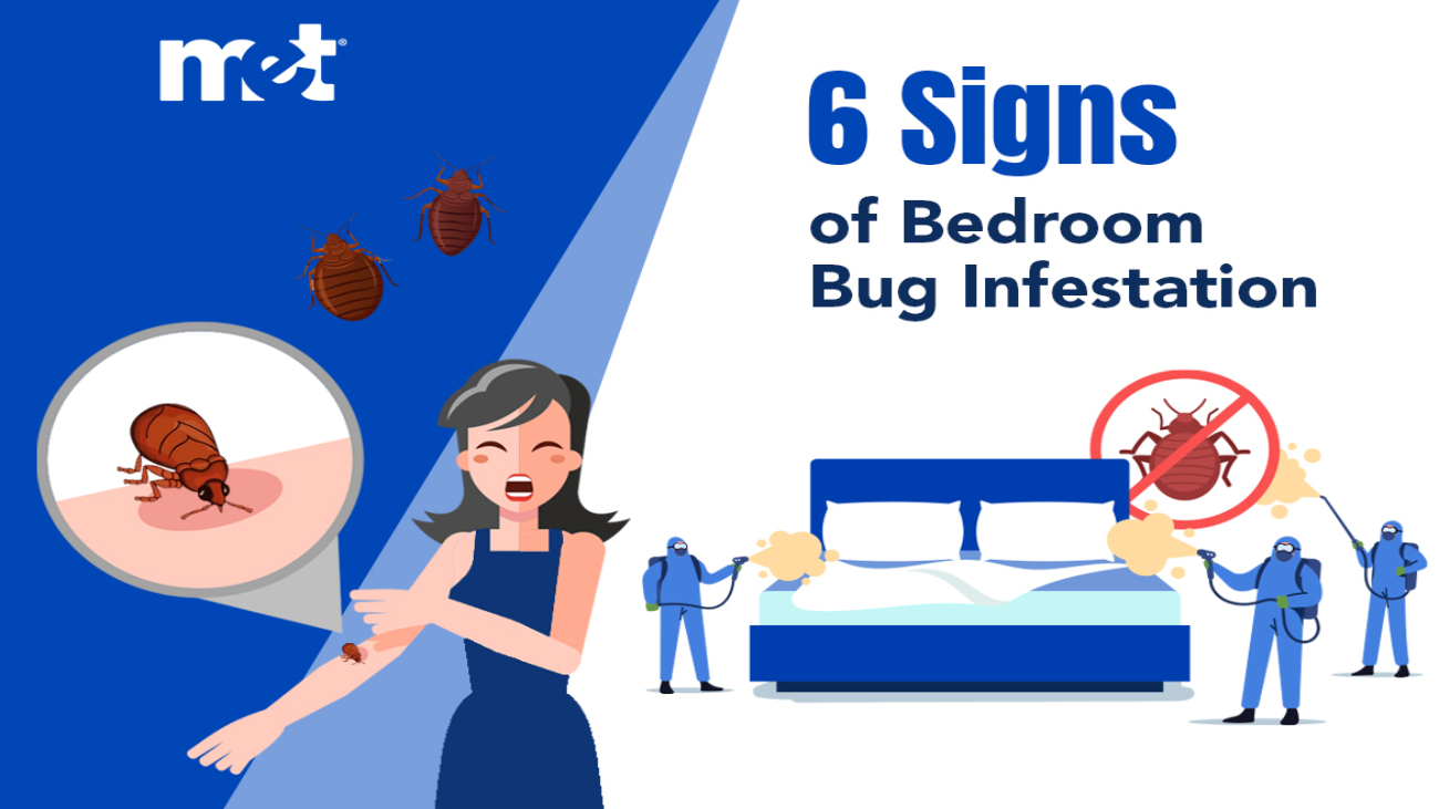 6 Signs of Bedroom Bug Infestation
