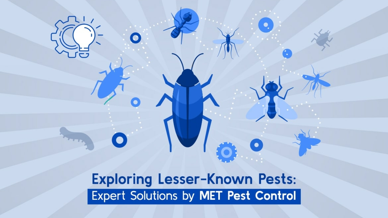Exploring Lesser Known Pests