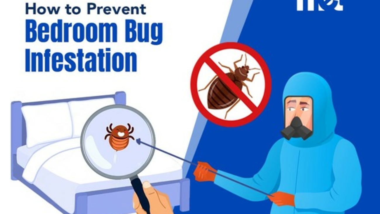 How to Prevent Bedroom Bug Infestation