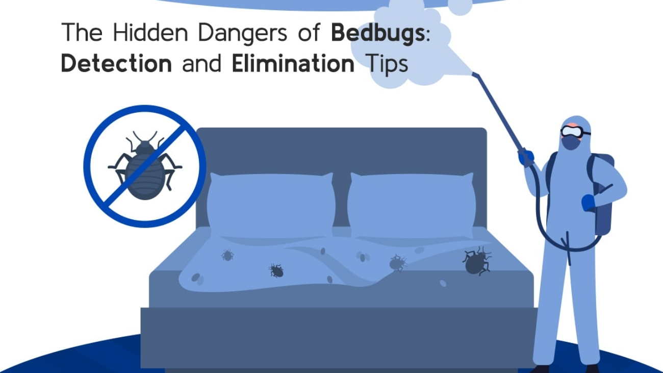 The Hidden Dangers of Bedbugs (2)