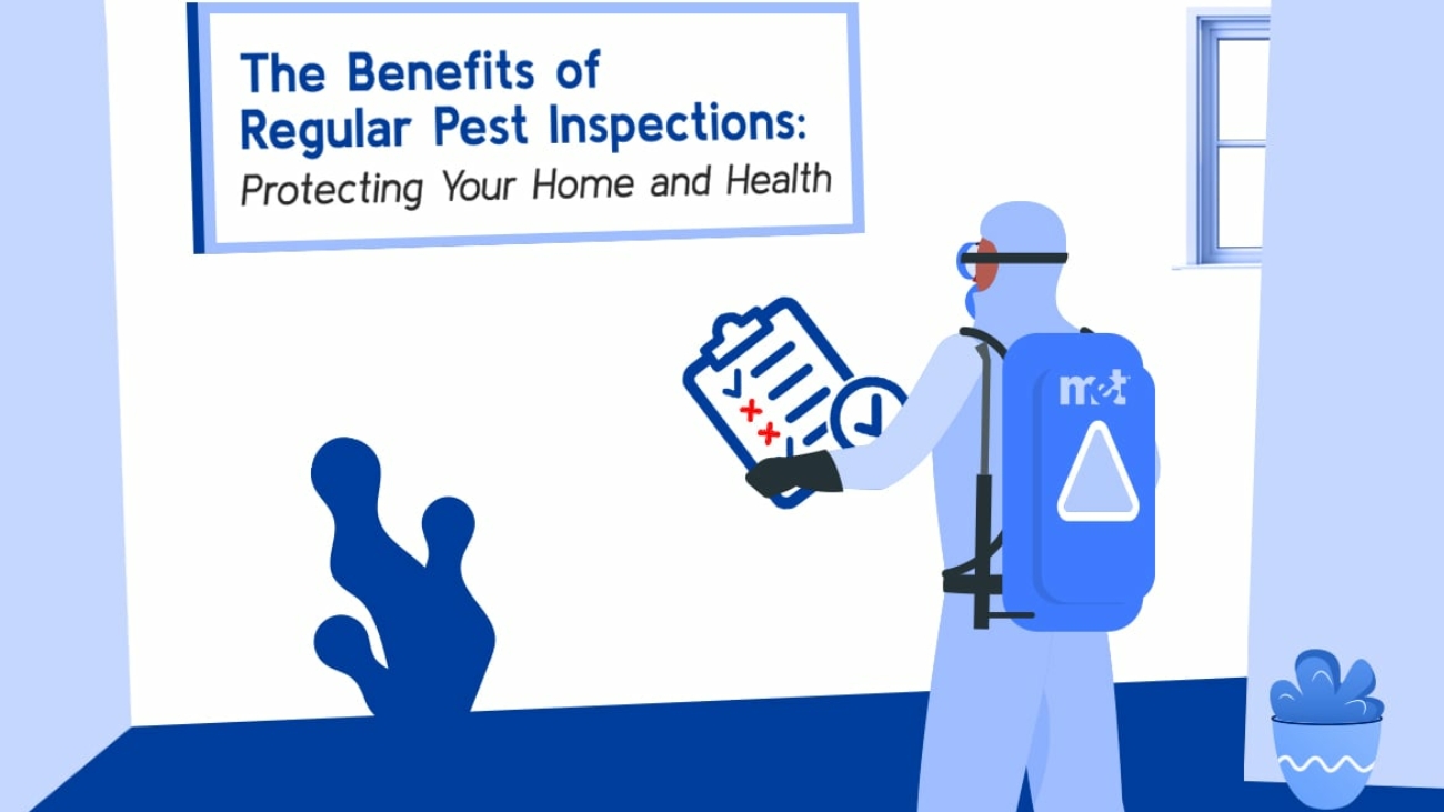 The Benefits of Regular Pest Inspections