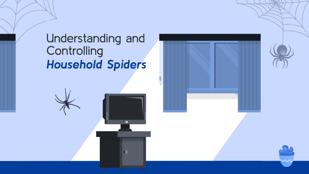 Understanding and Controlling Household Spiders