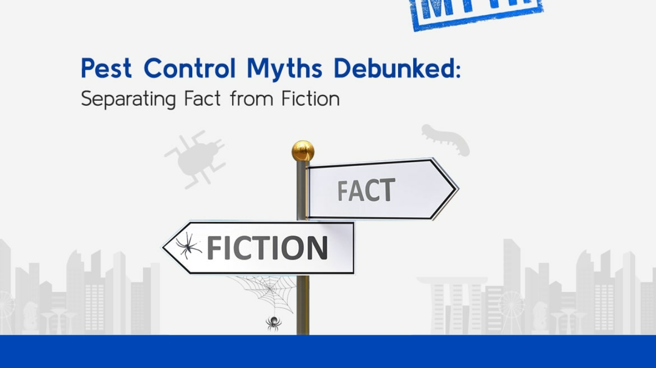 Pest Control Myths Debunked (1)