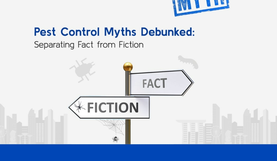 Pest Control Myths Debunked (1)