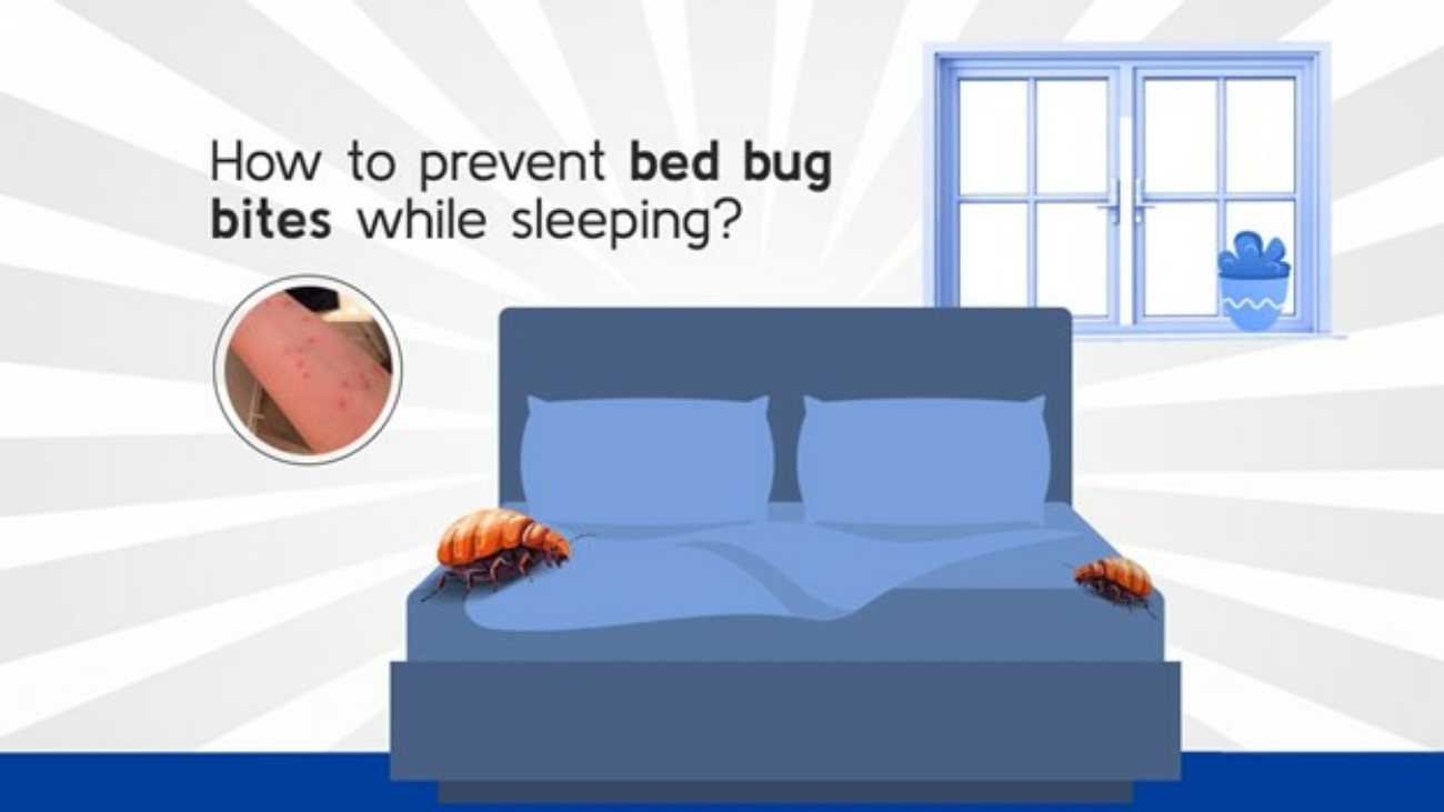 How to Prevent Bed Bug Bites While Sleeping | Pest Management in Singapore