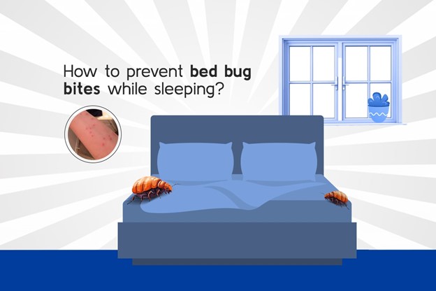 How to Prevent Bed Bug Bites While Sleeping | Pest Management in Singapore