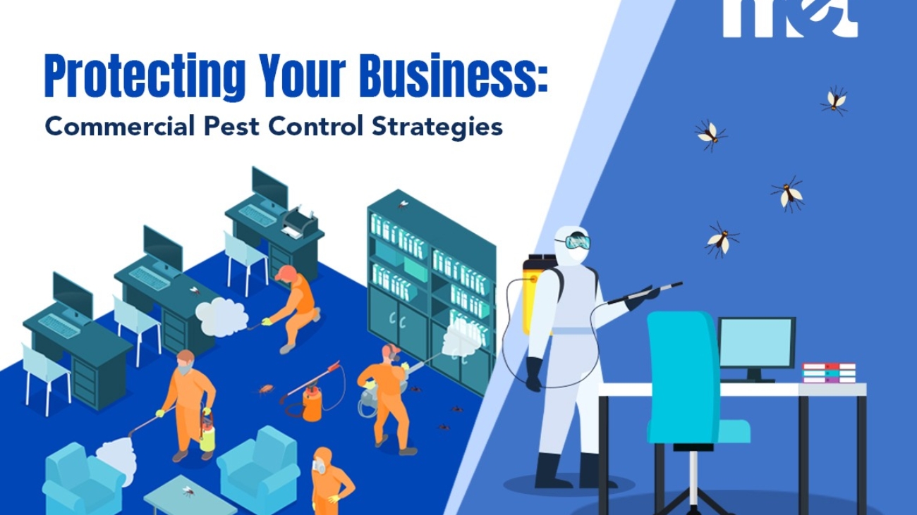 Protecting Your Business: Commercial Pest Control Strategies