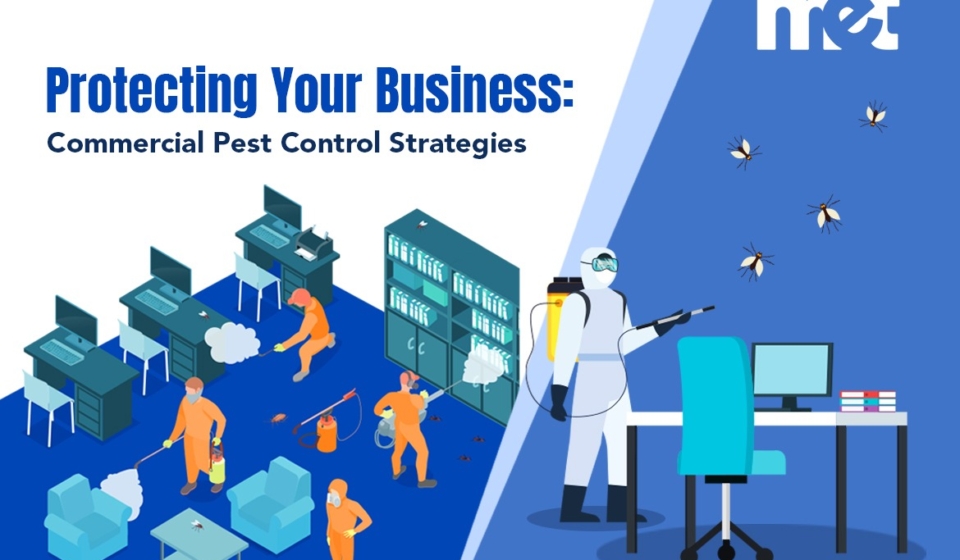 Protecting Your Business: Commercial Pest Control Strategies