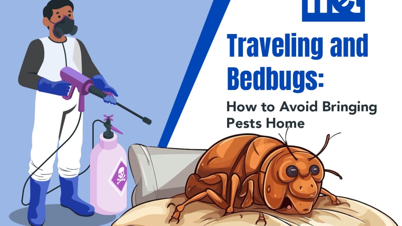 Traveling and Bedbugs: How to Avoid Bringing Pests Home