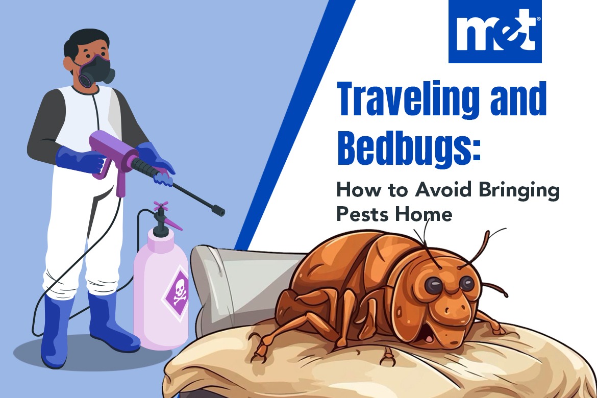 Traveling and Bedbugs: How to Avoid Bringing Pests Home