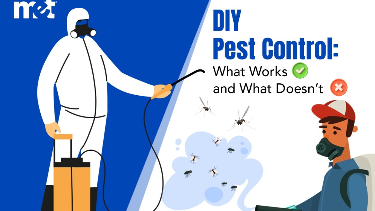 DIY Pest Control: What Works and What Doesn’t