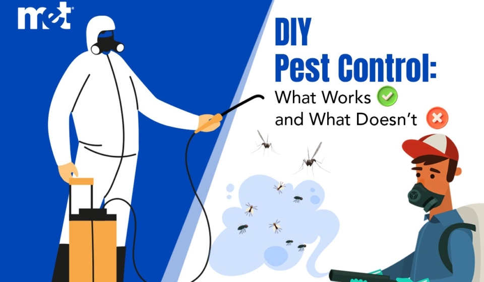 DIY Pest Control: What Works and What Doesn’t