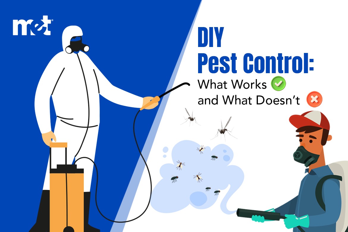 DIY Pest Control: What Works and What Doesn’t