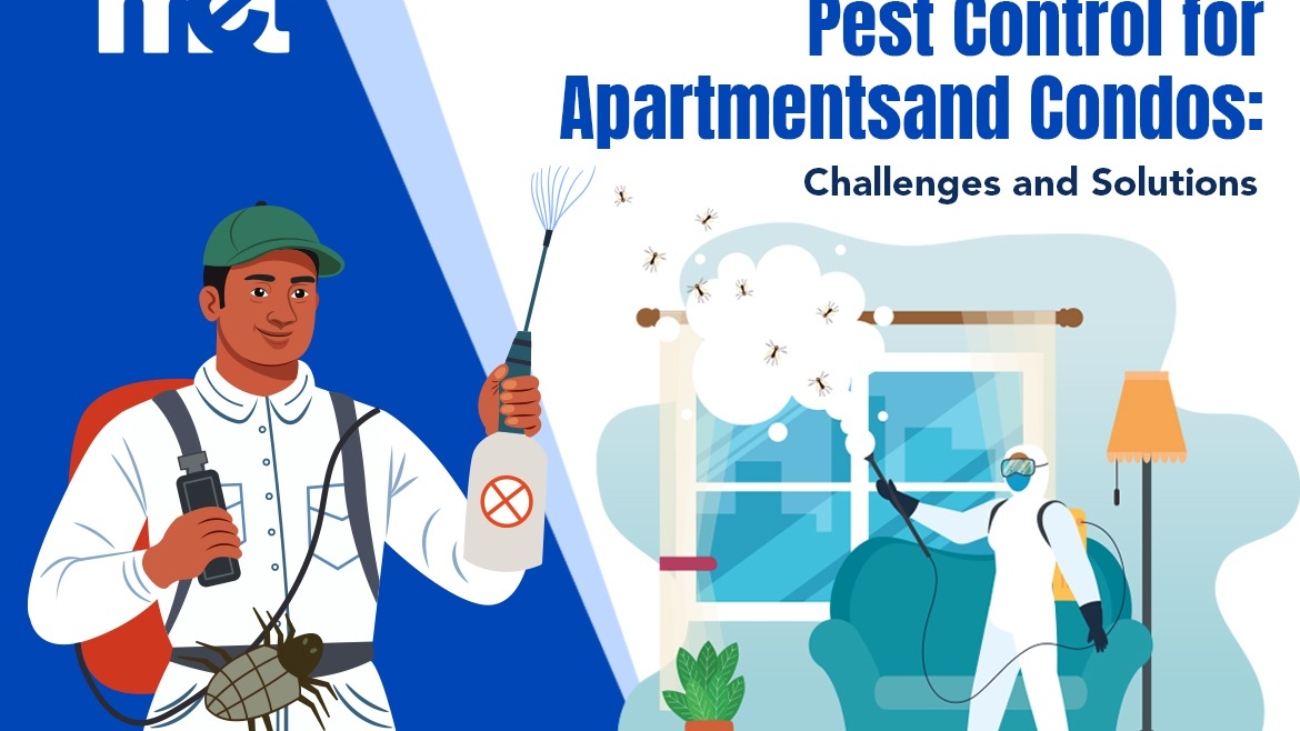 Pest Control for Apartments and Condos: Challenges and Solutions