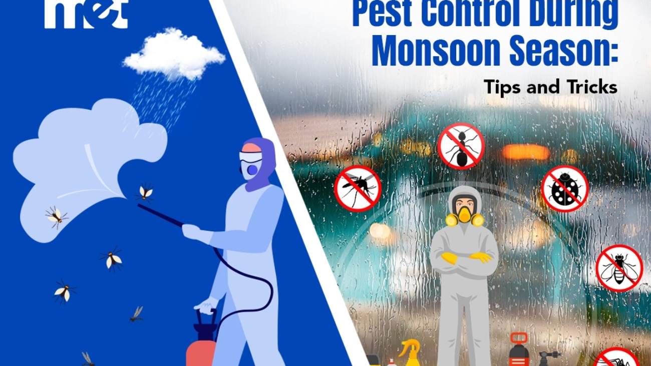 Effective Pest Control During Monsoon Season: Tips and Tricks