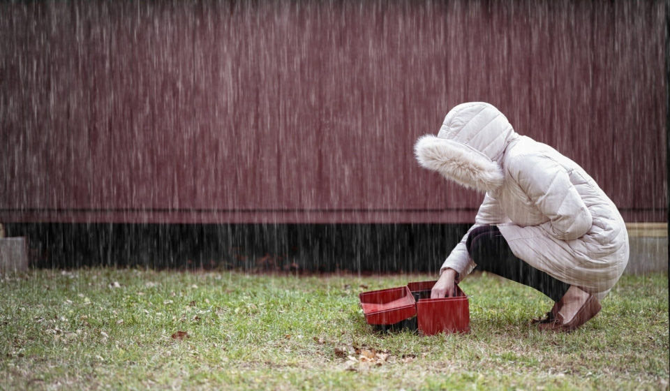 Does Rain Affect My Pest Control Treatment