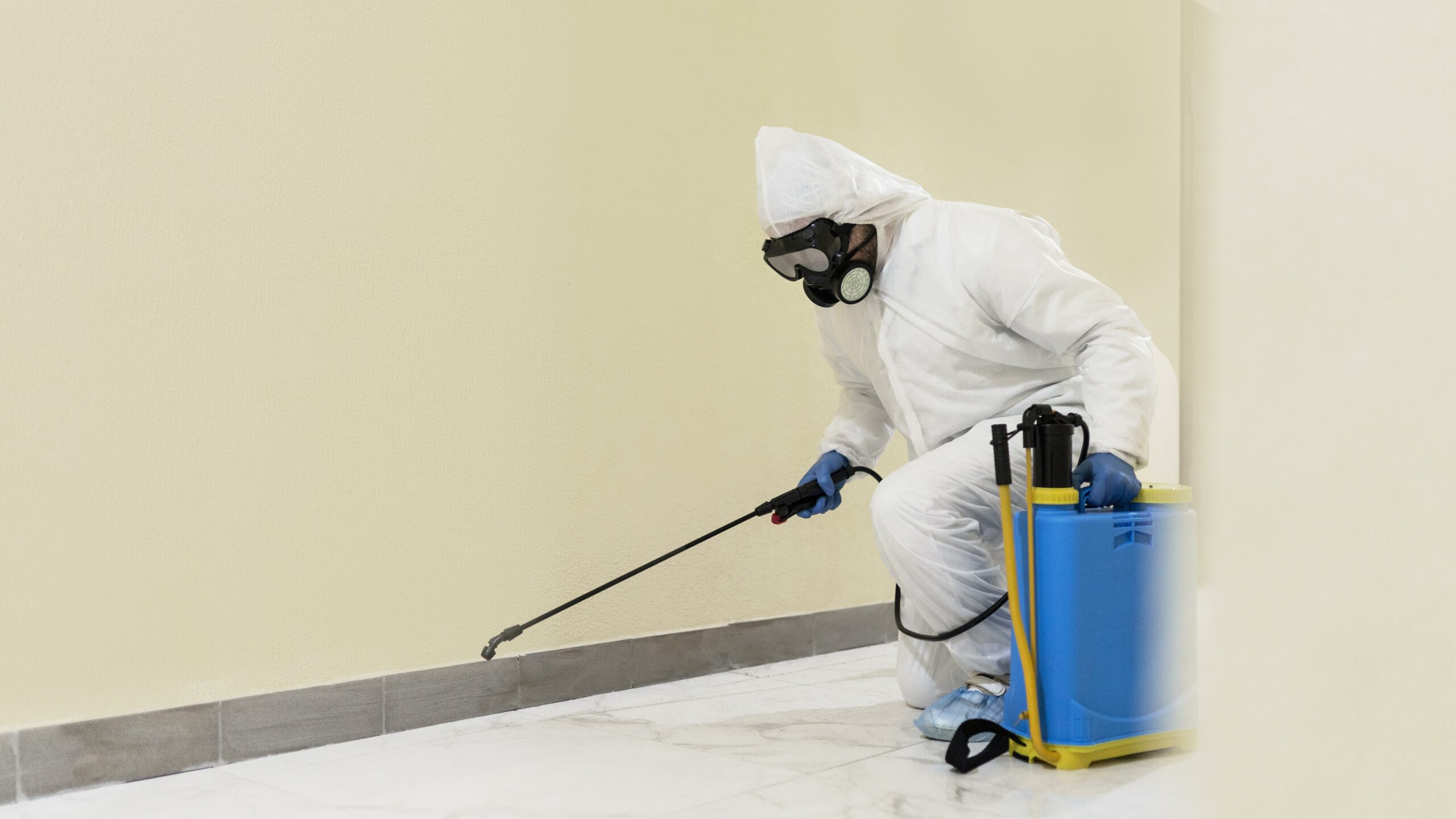 Best Termite Treatment Measures to Follow in Building Construction