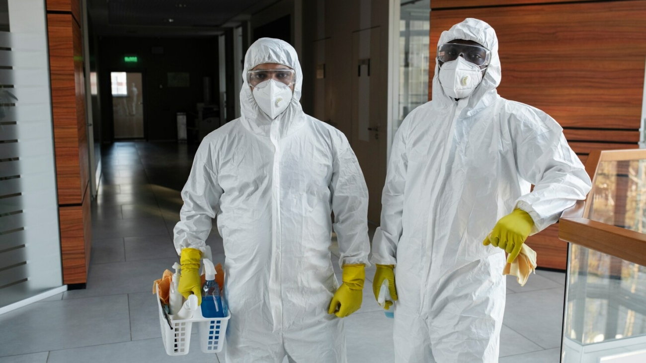 How to Choose the Right Pest Control Service in Singapore for Your Home