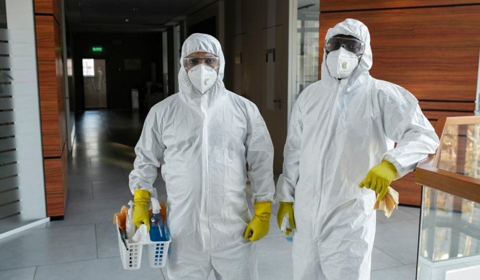 How to Choose the Right Pest Control Service in Singapore for Your Home