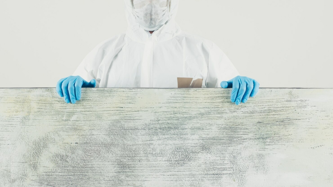 Termite Troubles? How Professional Pest Control Can Save Your Property