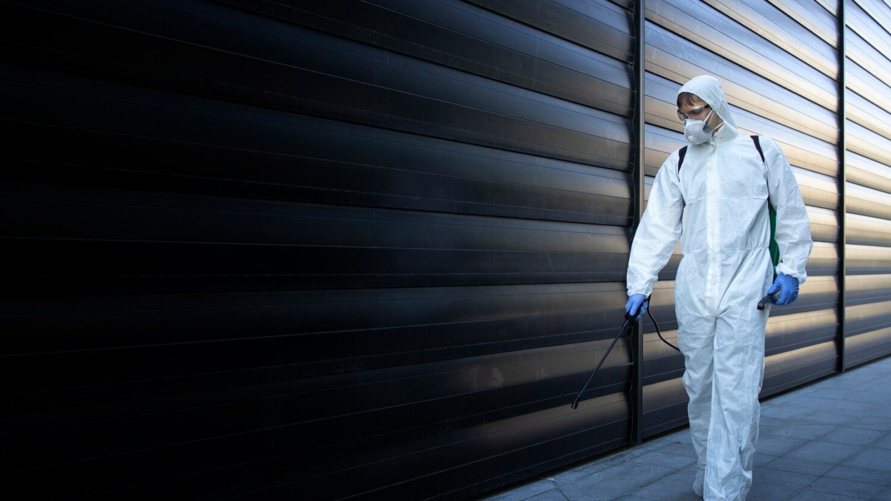 Why Professional Rodent Pest Control Is a Must for Singapore Homes