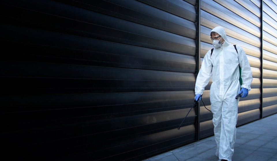 Why Professional Rodent Pest Control Is a Must for Singapore Homes