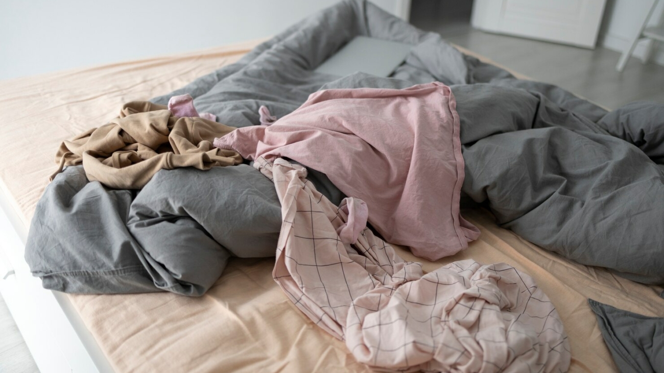 Preventing Bed Bug Infestations in Singapore Homes: What You Need to Know