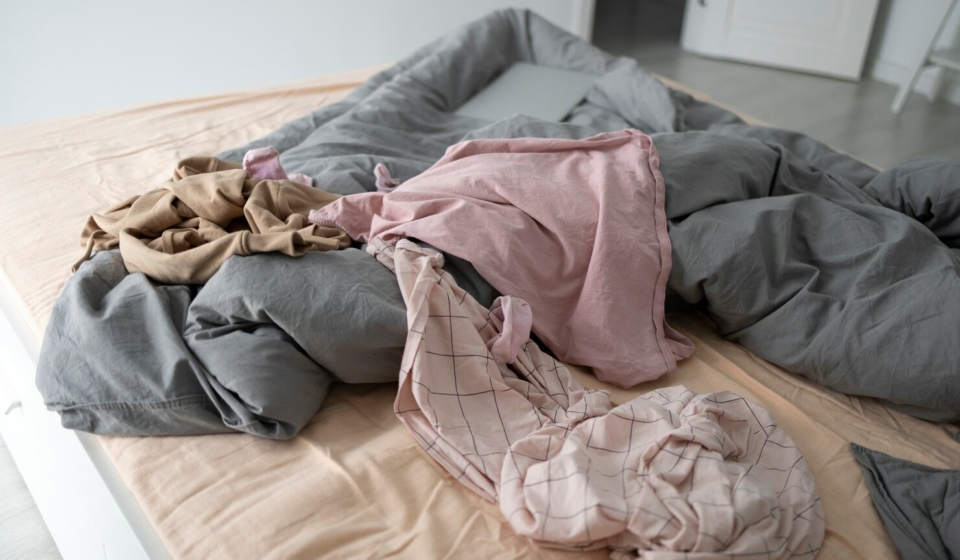 Preventing Bed Bug Infestations in Singapore Homes: What You Need to Know