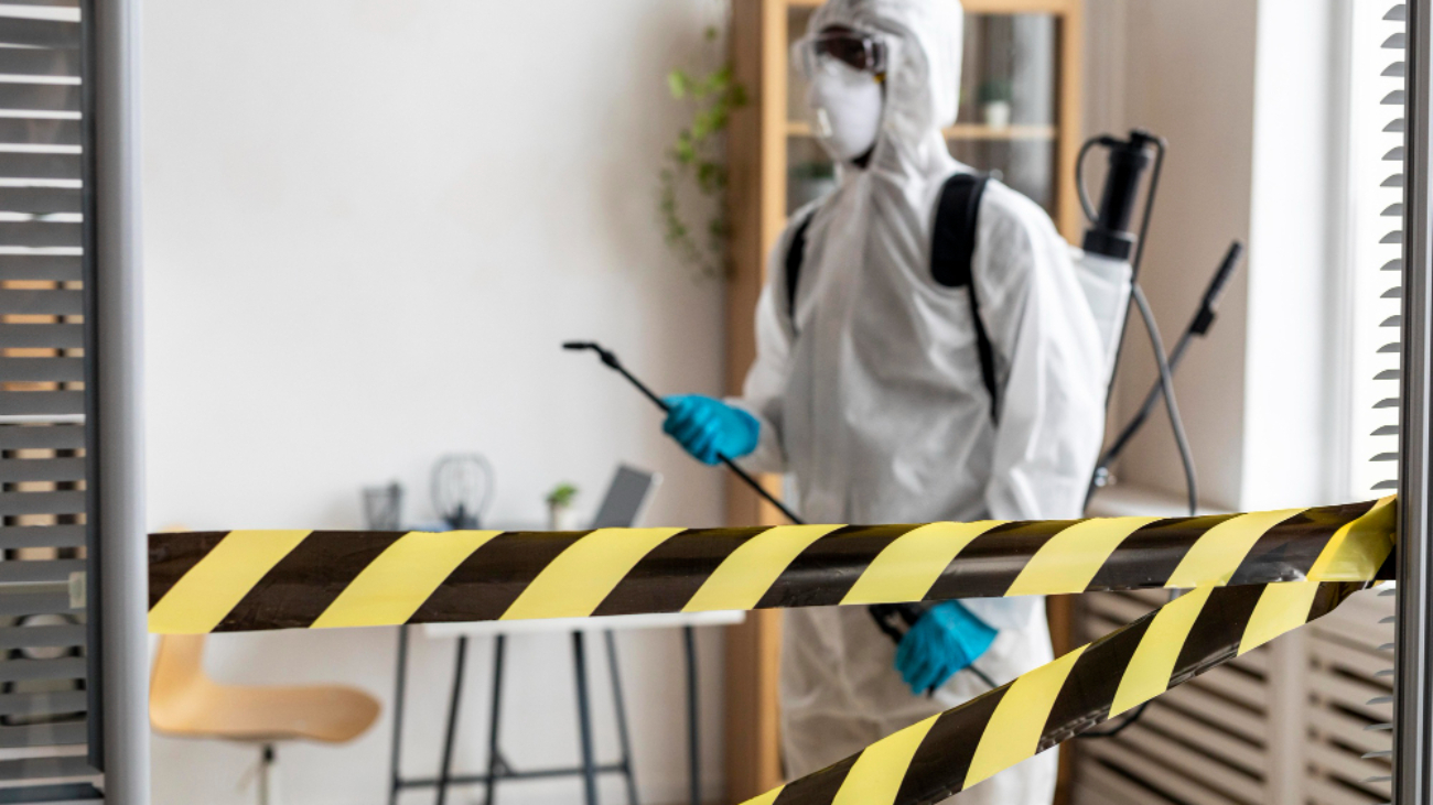 Common Pesticide Myths in Singapore Homes: What Works and What Doesn’t
