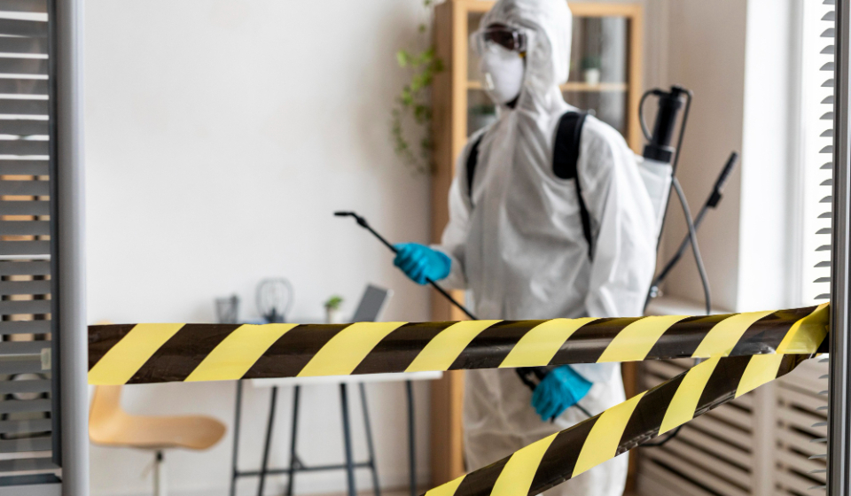 Common Pesticide Myths in Singapore Homes: What Works and What Doesn’t