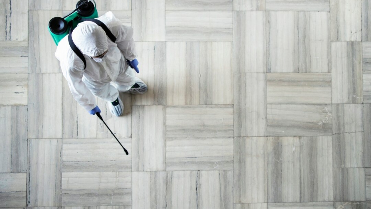 Managing Pest Control During Renovations and Construction Work