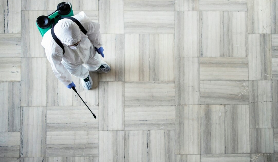 Managing Pest Control During Renovations and Construction Work