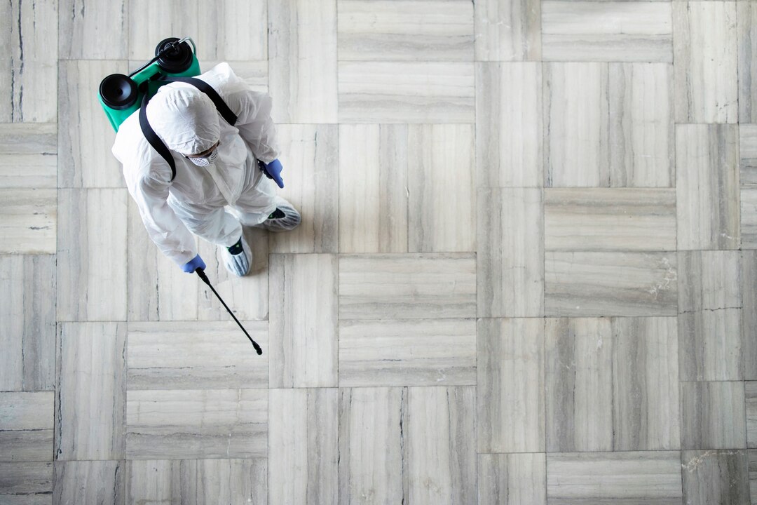 Managing Pest Control During Renovations and Construction Work