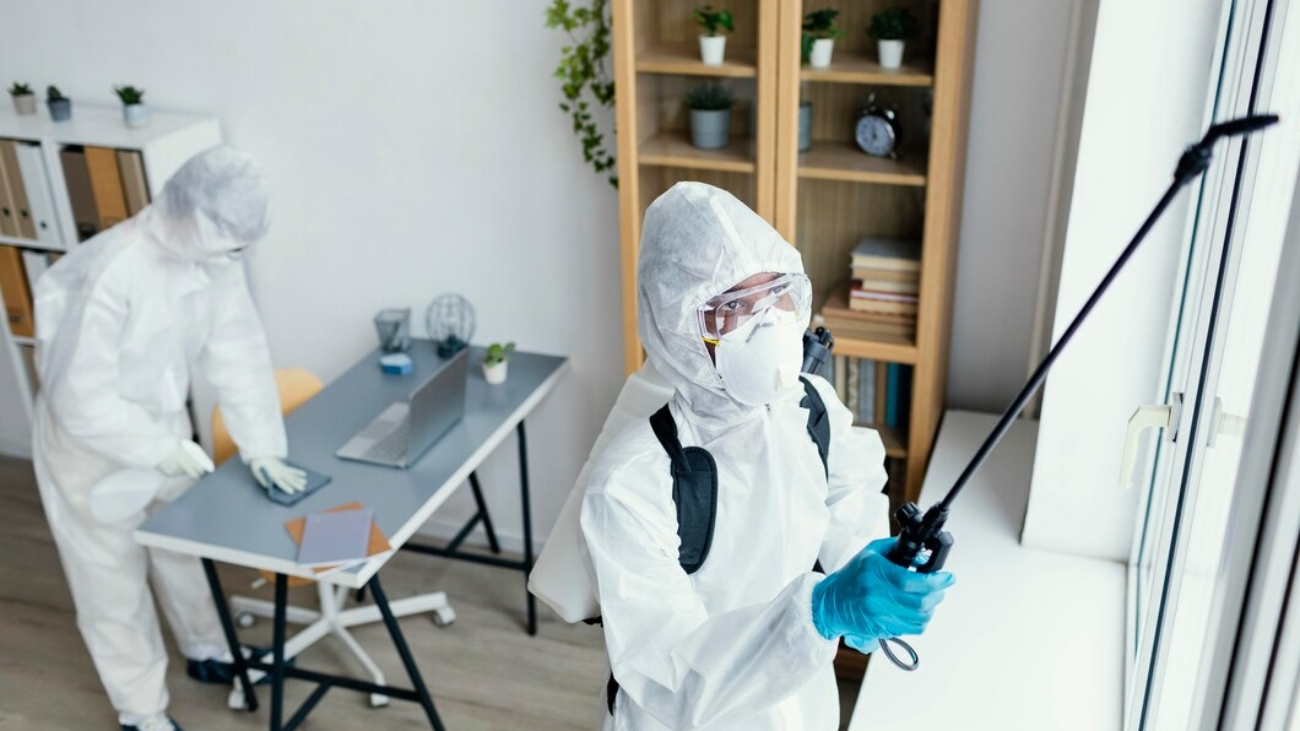 Seasonal Pest Activity in Singapore: What Property Owners Should Watch For