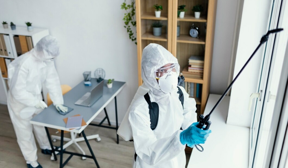 Seasonal Pest Activity in Singapore: What Property Owners Should Watch For