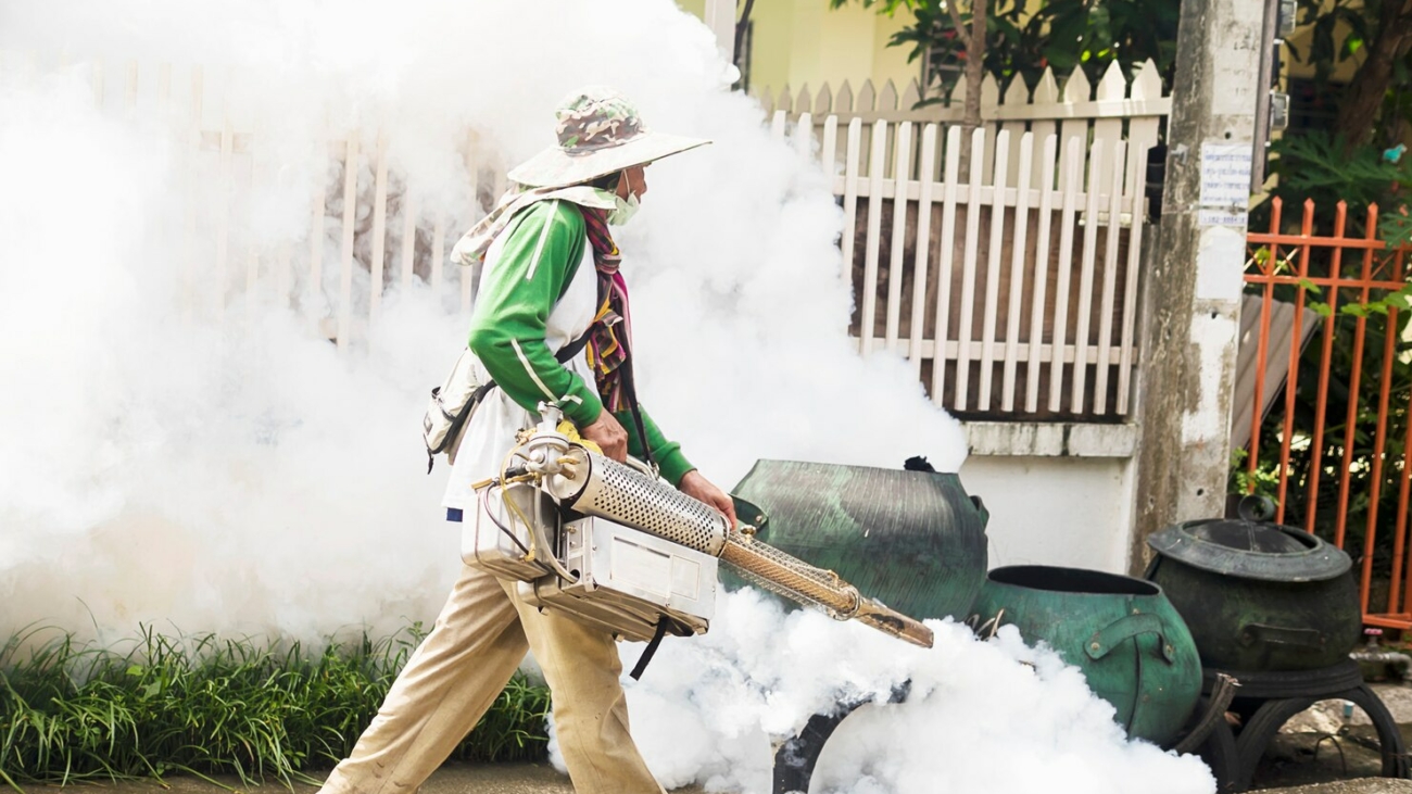 Why Pests Are Invading Singapore Homes and How to Prevent Them