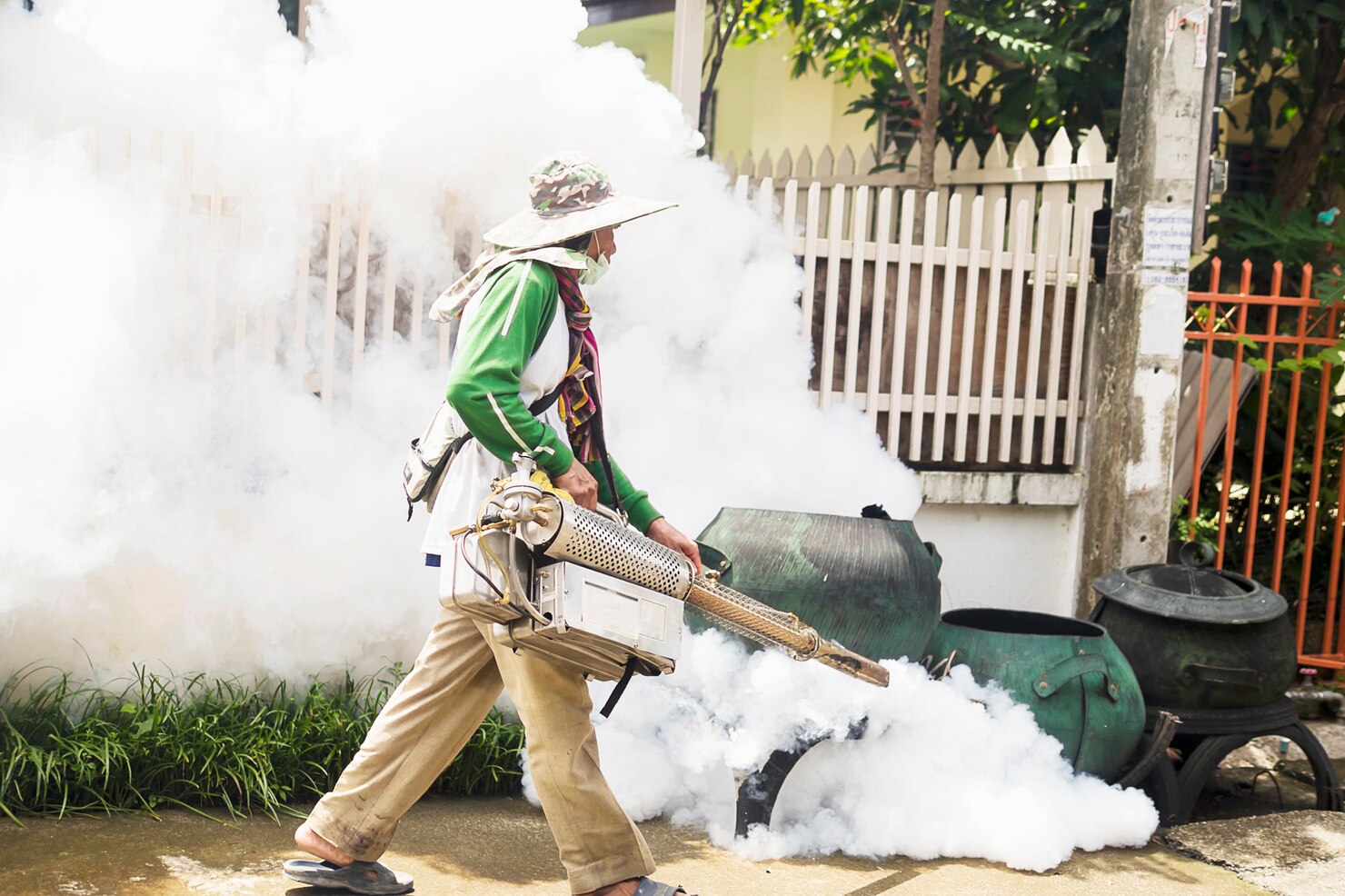 Why Pests Are Invading Singapore Homes and How to Prevent Them